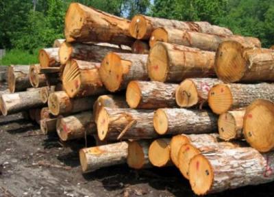 پتانسیل مصرف چوب در ایران 13 میلیون متر مکعب است