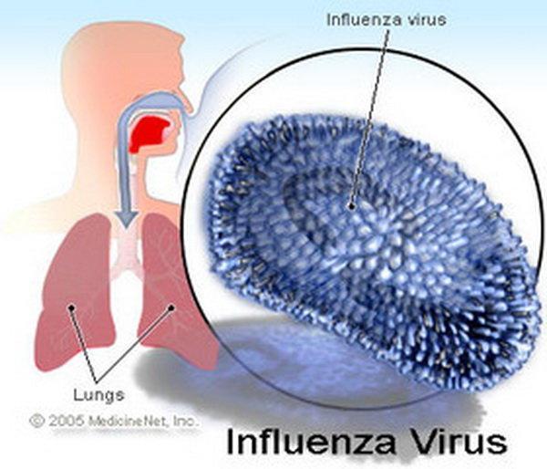 آنفلوآنزا هم مزمن می گردد